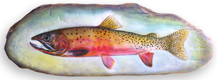 Westslope Cutthroat Trout