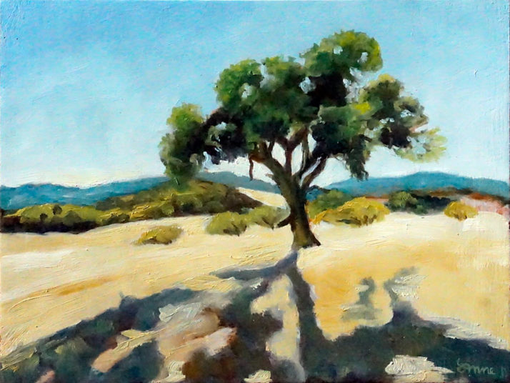 Palo Alto Oak, 12" x 9", oilon panel